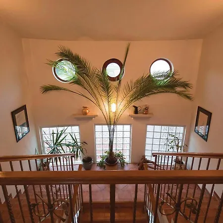 Apartman Amazing In With Kitchen Medulin